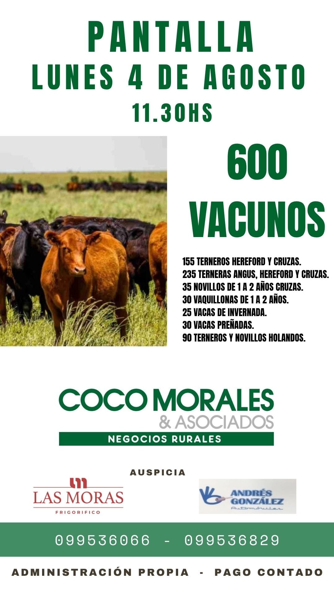 Afiche Pantalla Coco Morales