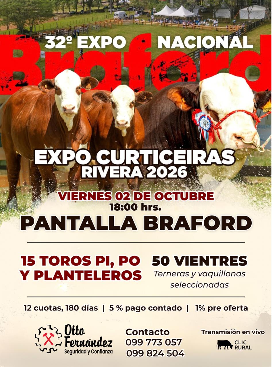 Remate 32° Expo Nacional Braford