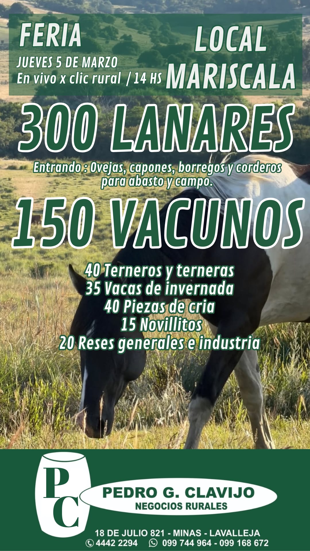 Feria en Local Mariscala