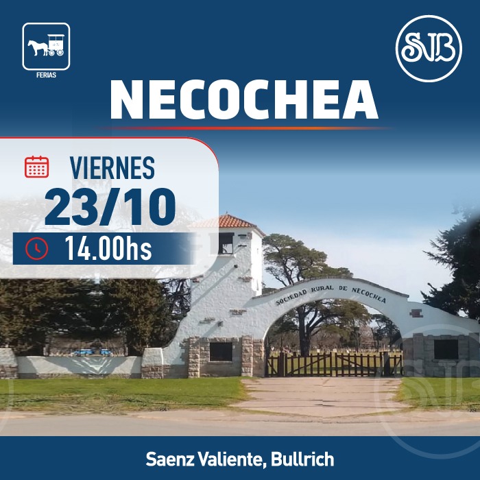 Feria en Necochea