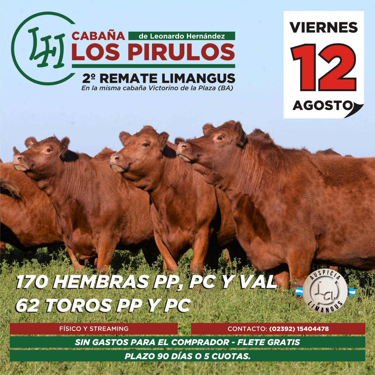 Afiche Remate de Cabaña Los Pirulos de Limangus
