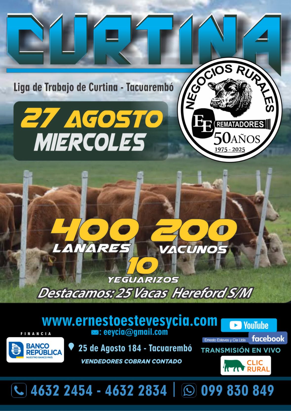 Afiche Feria mensual - Liga de Trabajo Curtina