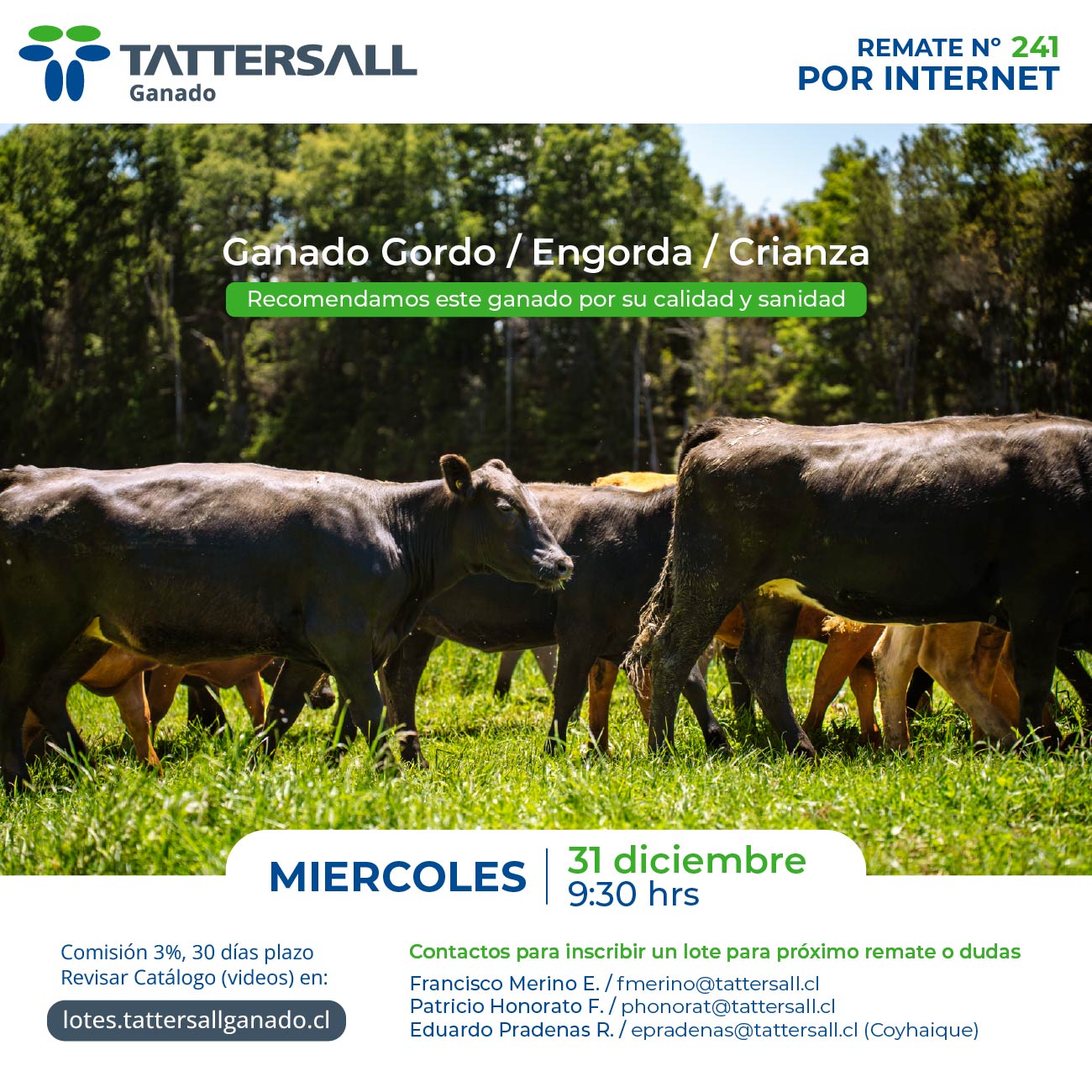 Remate 31 de Diciembre Ganado Crianza y Engorda