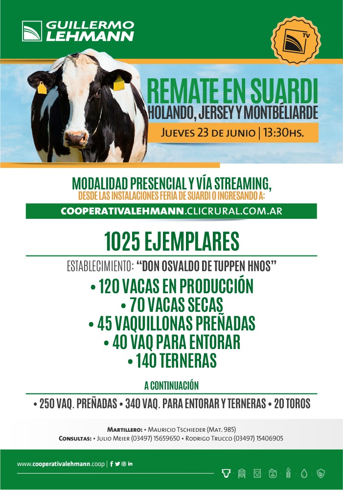 Afiche Remate Holando, Jersey y Montbeliarde