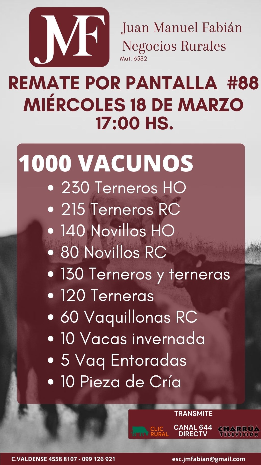 REMATE POR PANTALLA 88 