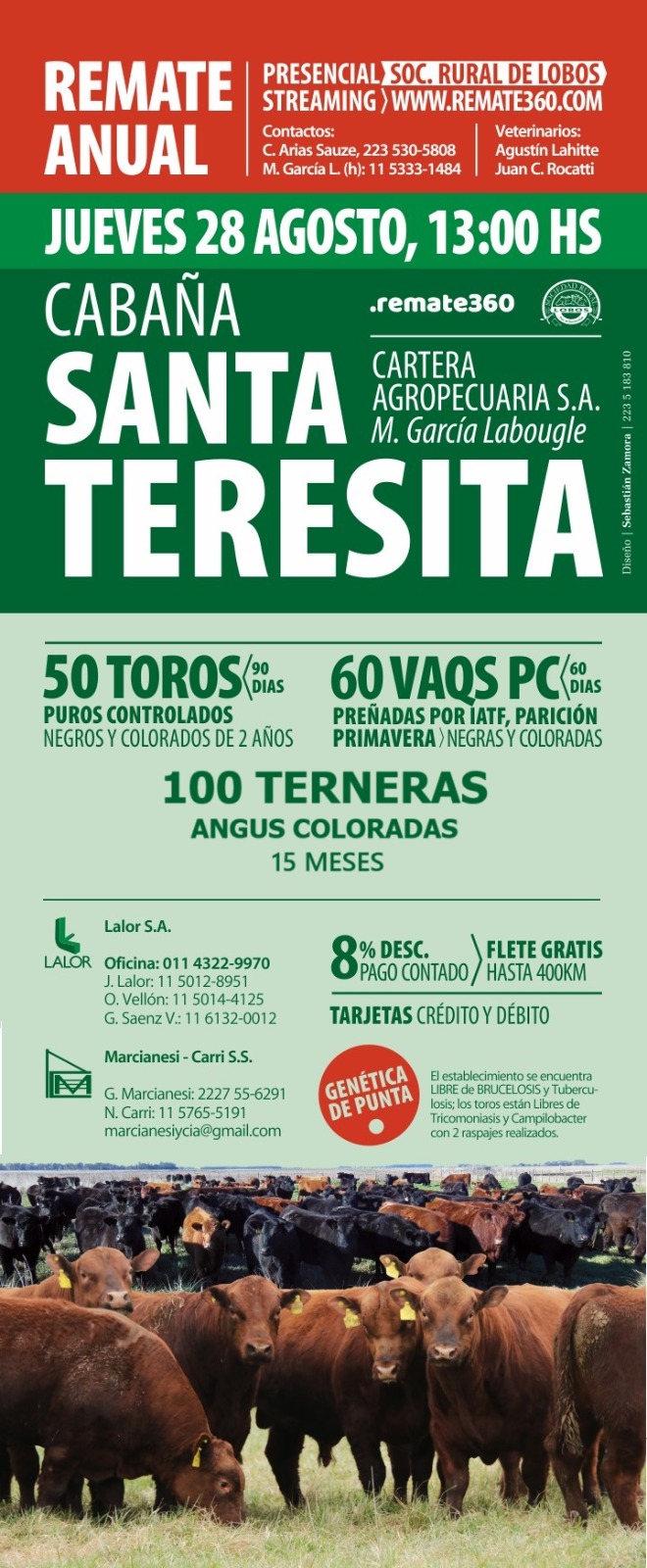 Remate Cabaña Santa Teresita de Miguel García Labougle