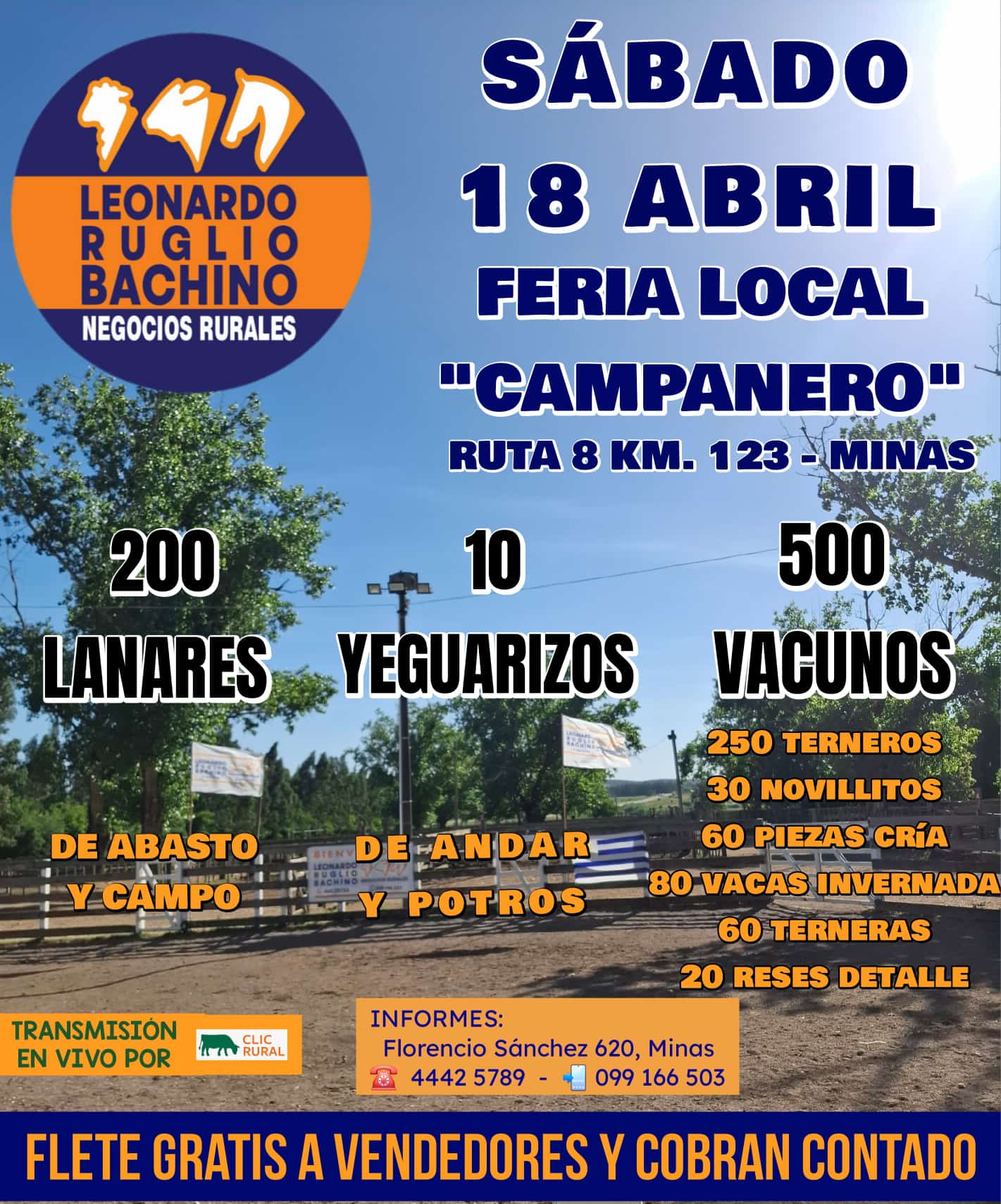 Remate Feria Mensual - Leonardo Ruglio Bachino