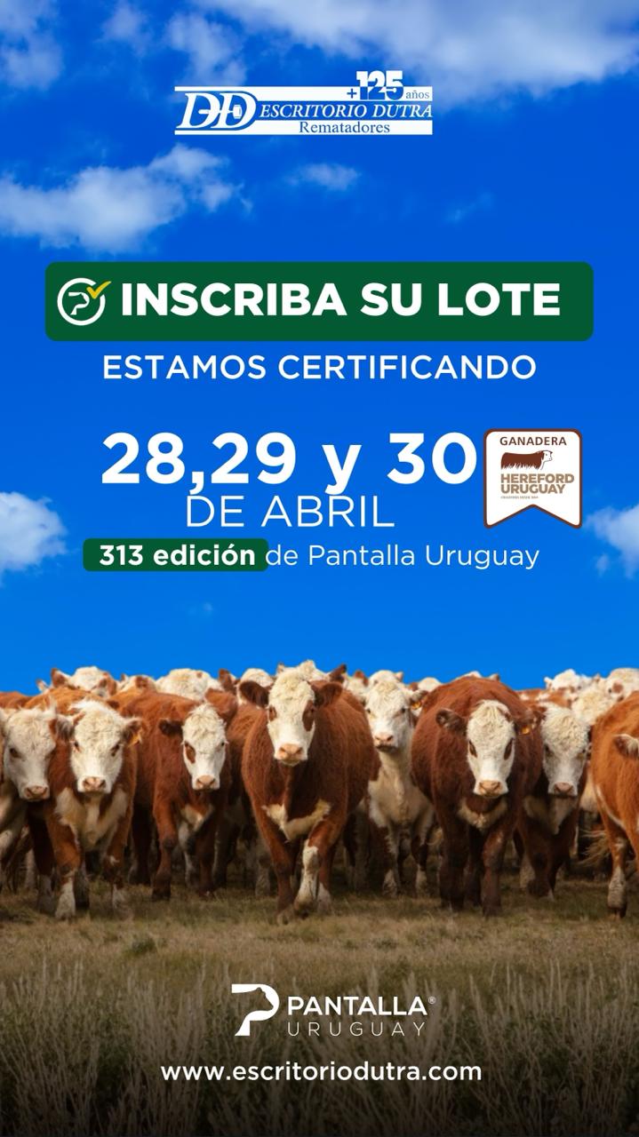 313º remate Pantalla Uruguay