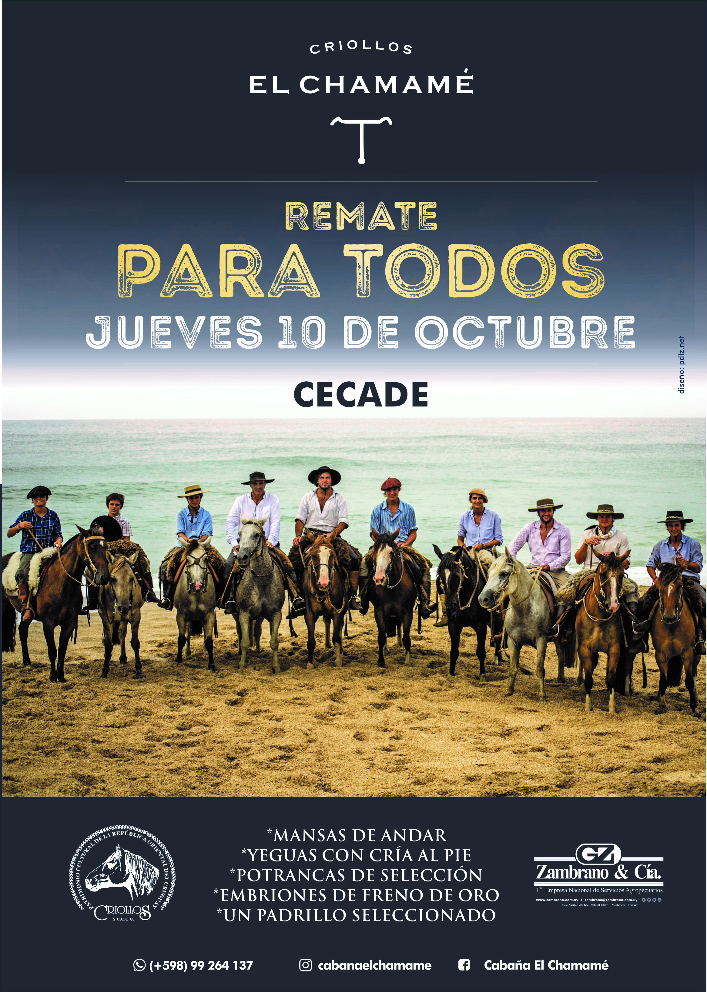 Afiche El Chamamé l Criollos