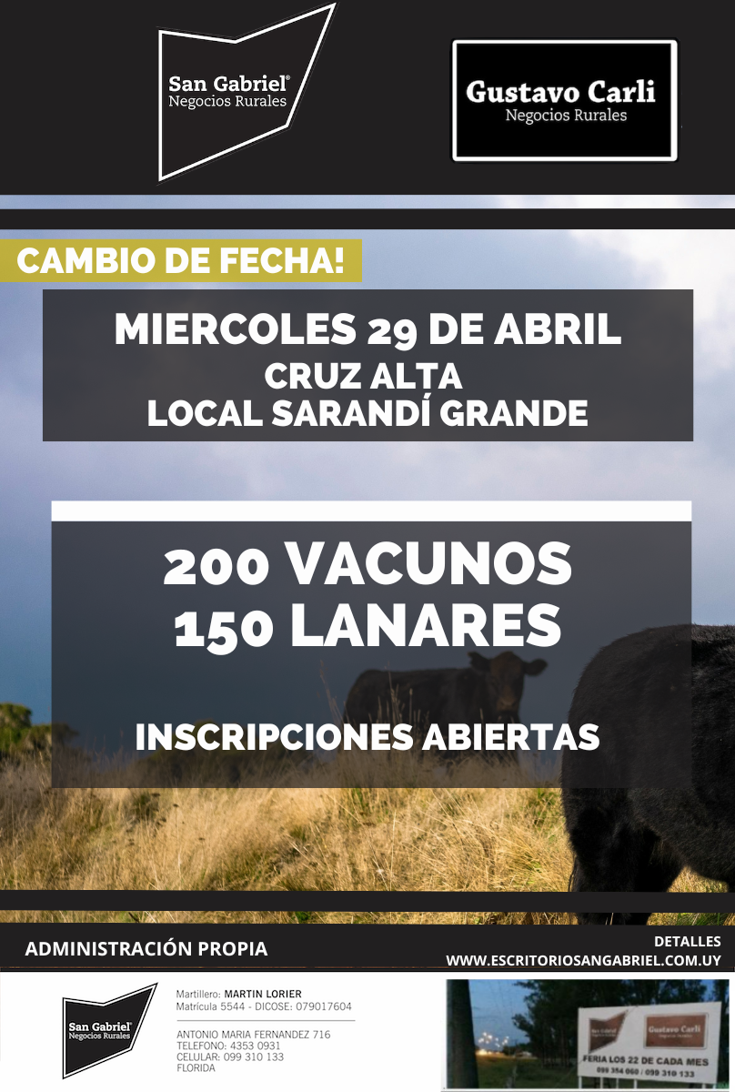 Feria en Local Cruz Alta Sarandi