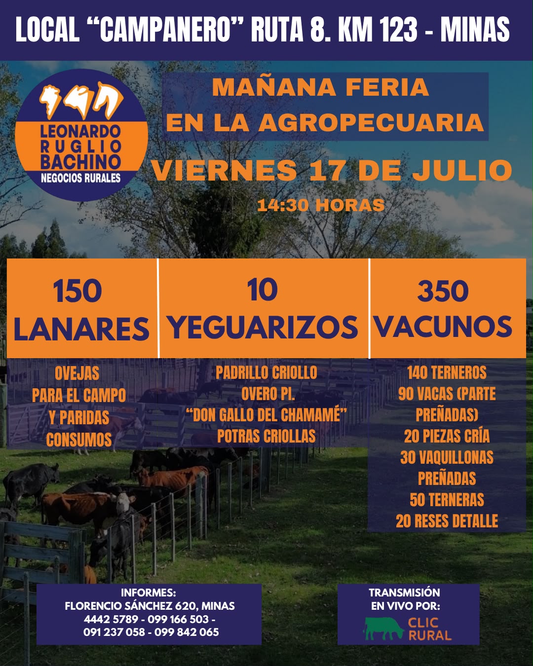 Remate Feria mensual - Leonardo Ruglio Bachino