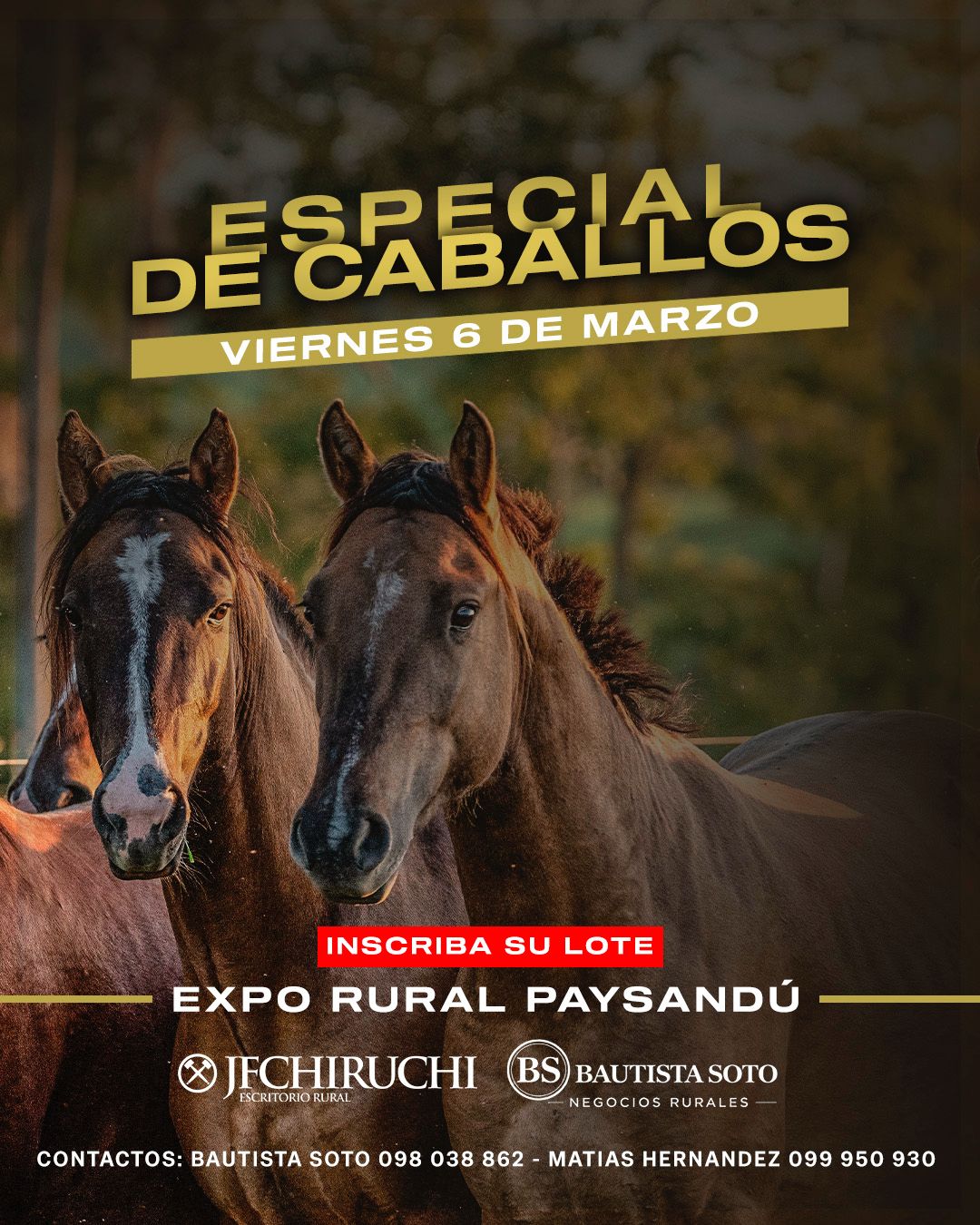 Remate ESPECIAL DE CABALLOS
