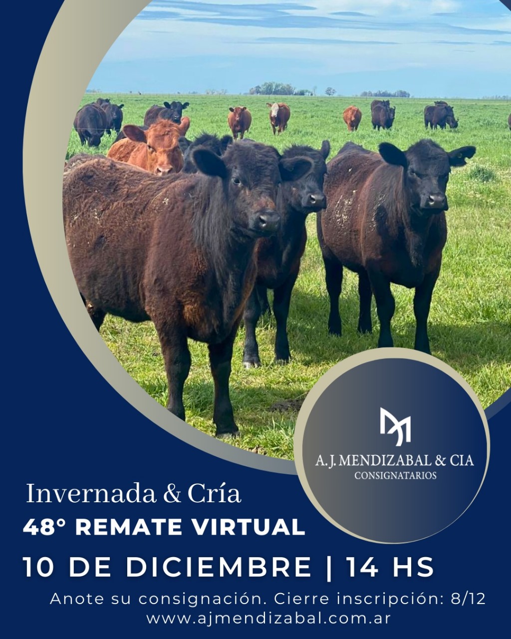 48° Remate Virtual