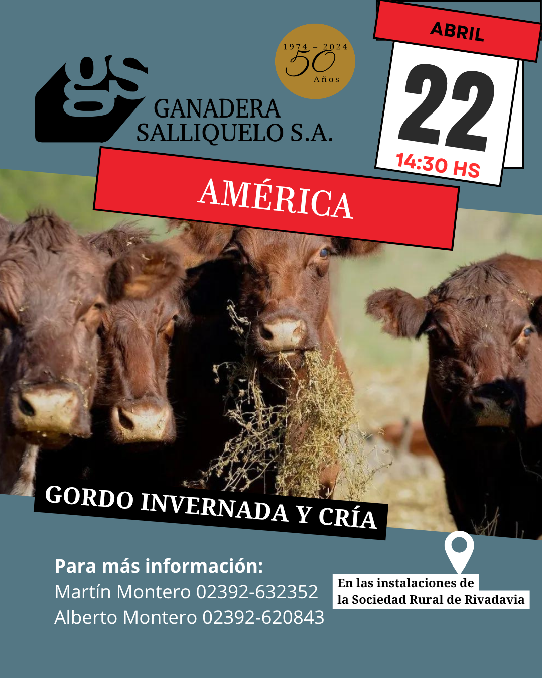 Afiche Remate Gordo, Invernada y Cría en América