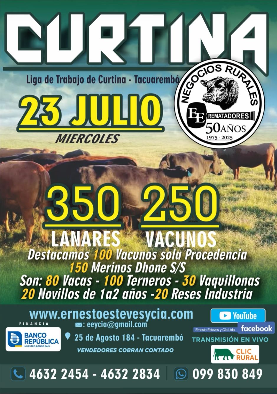 Afiche Feria mensual - Ernesto Esteves y Cia