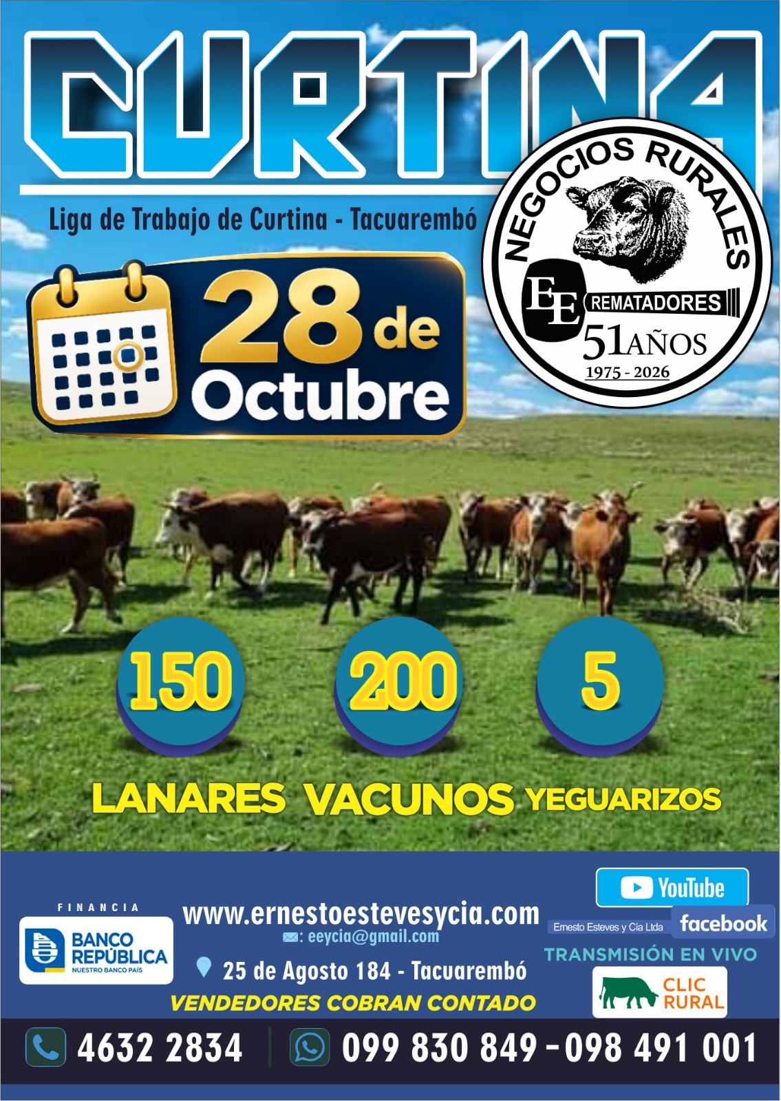 Afiche Feria mensual - Curtina