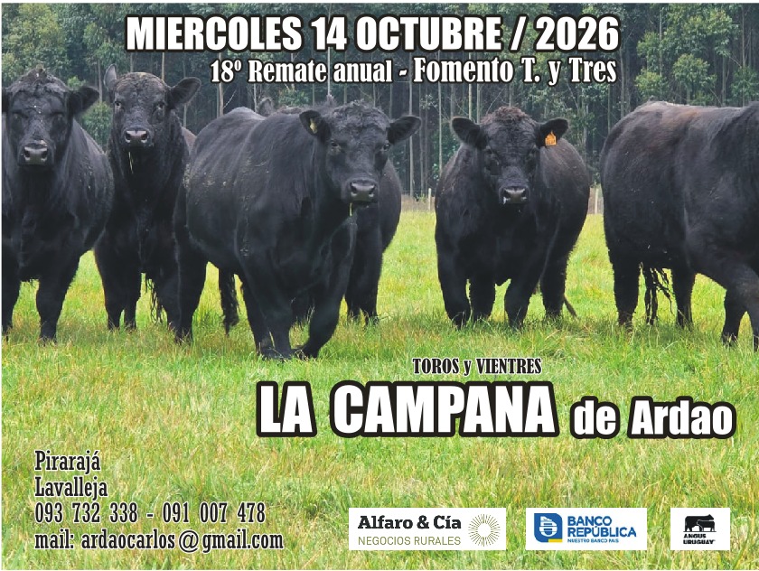 Remate 18º Remate anual - La Campana de Ardao