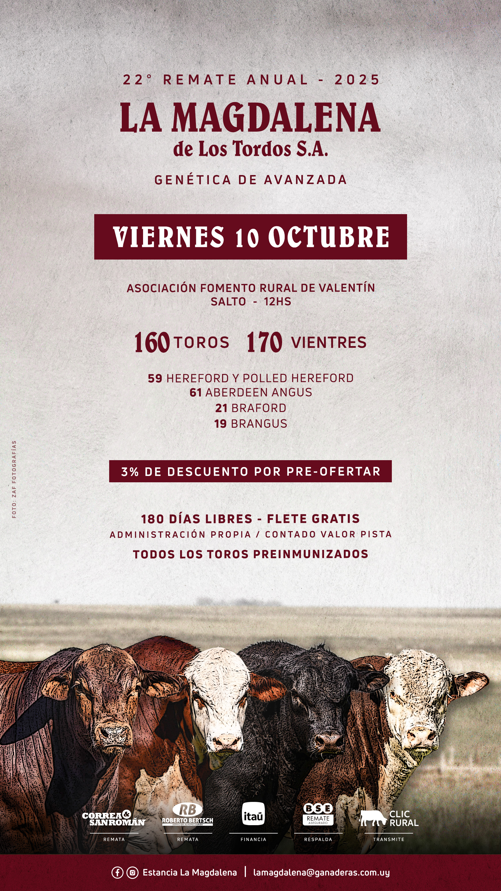 Afiche 22º Remate Anual La Magdalena