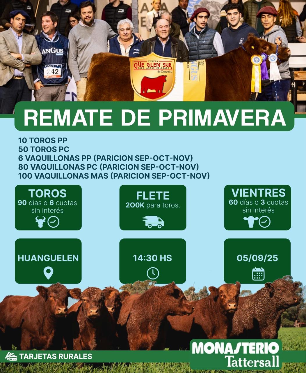 Remate Remate Físico Cabaña Gue Glen Sur