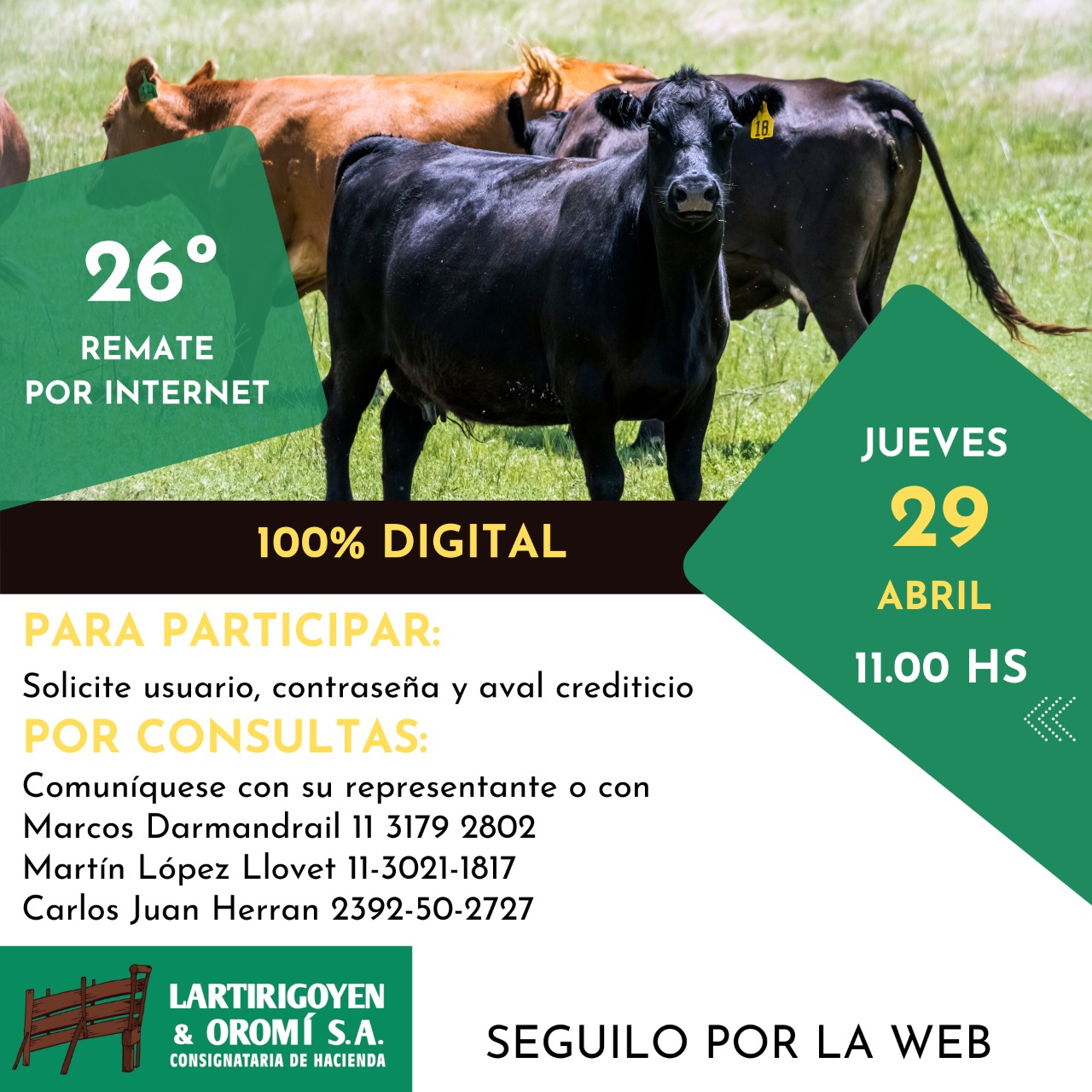 Afiche 26º Remate por Internet
