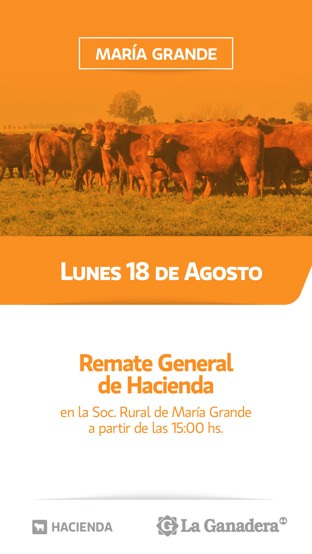 Remate REMATE FERIA EN SOCIEDAD RURAL MARIA GRANDE