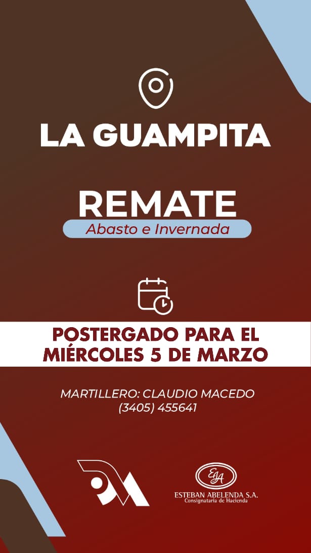 Afiche Rmate Fisico - La Guampita