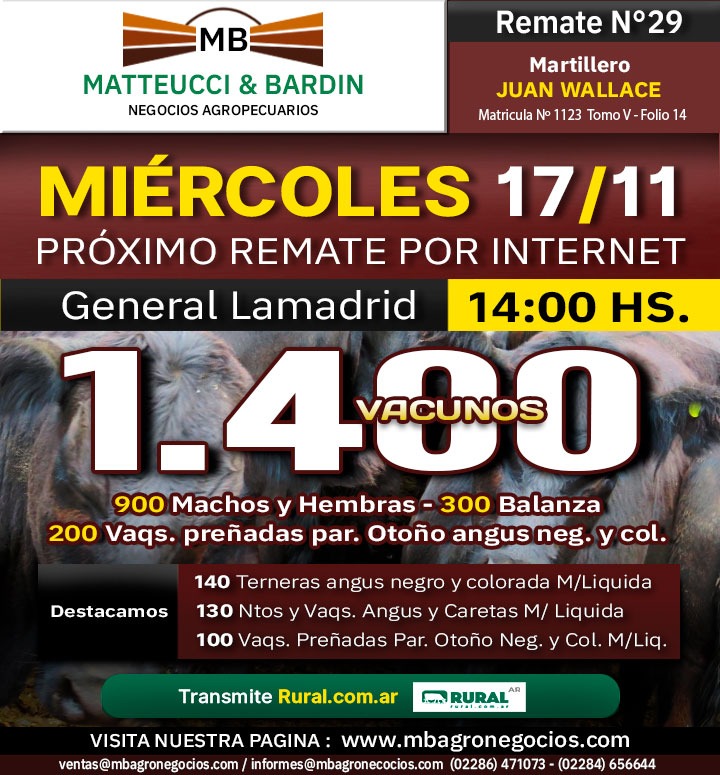 Afiche 16° Remate por Internet