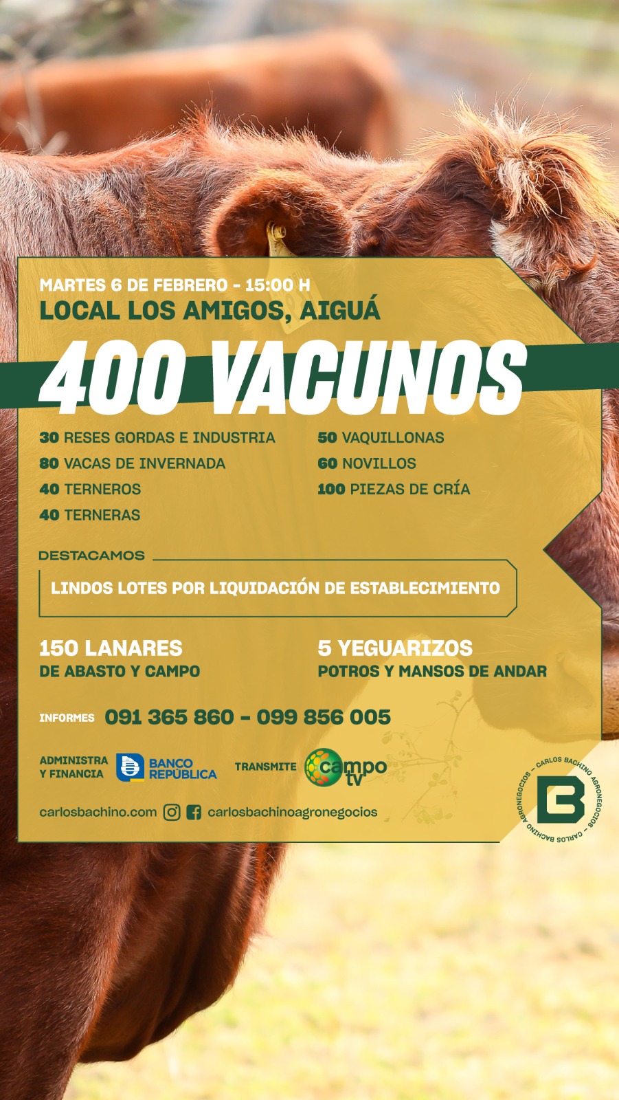 Afiche Feria mensual "Los Amigos" Aiguá