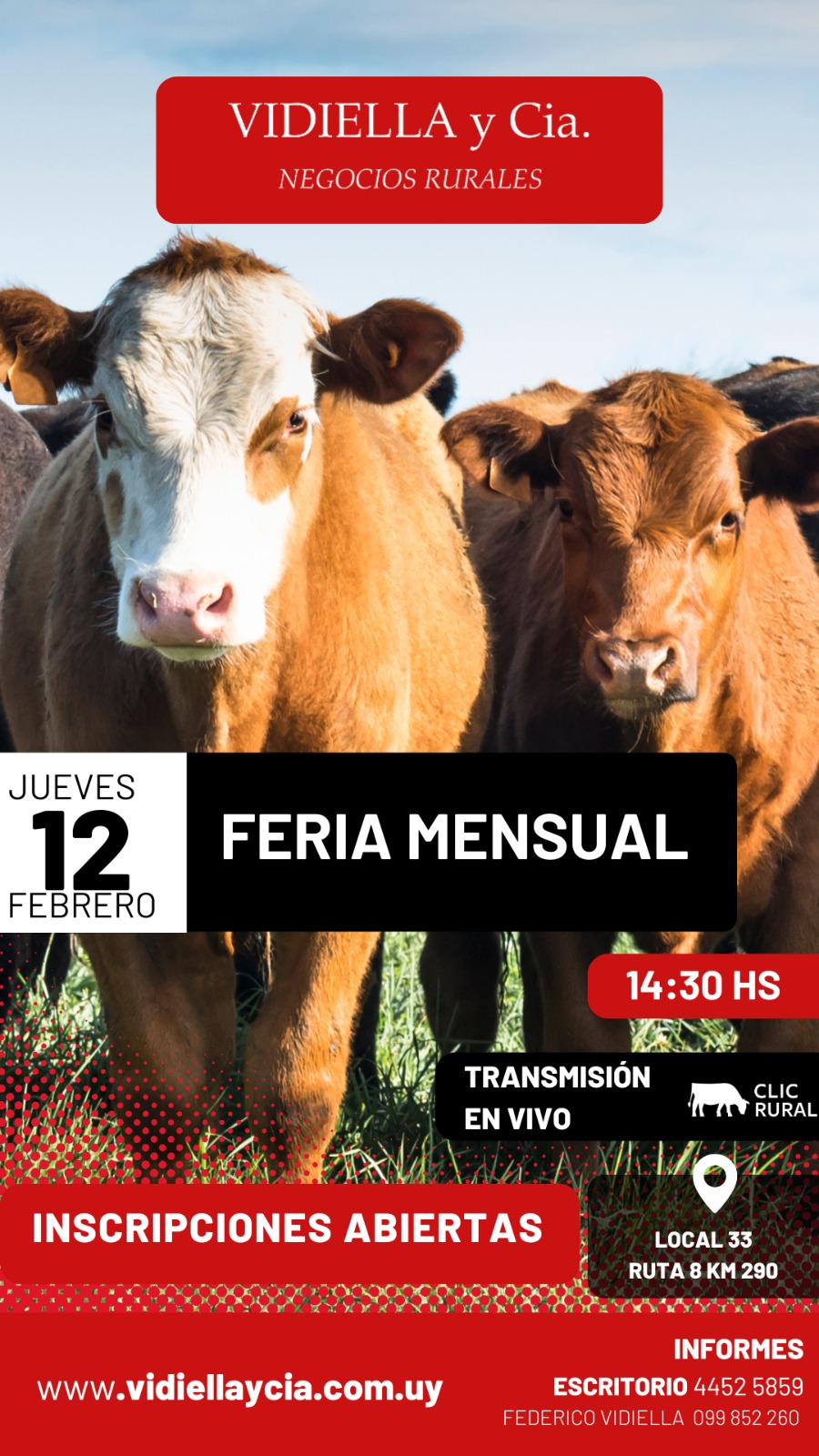 Remate Feria mensual - Vidiella y Cia