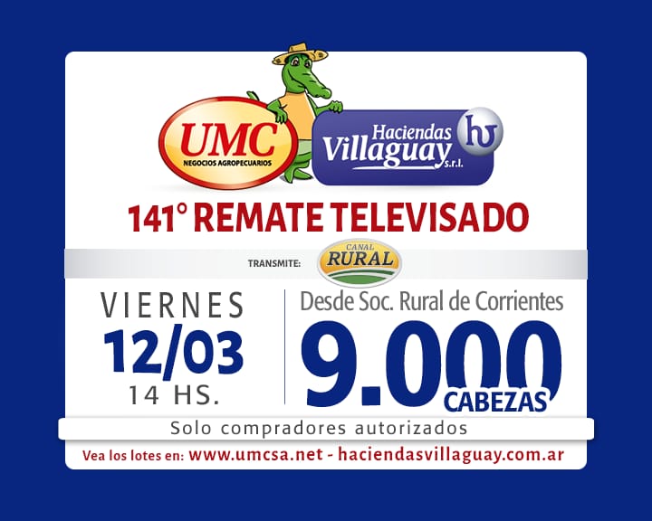 Afiche TV - 141