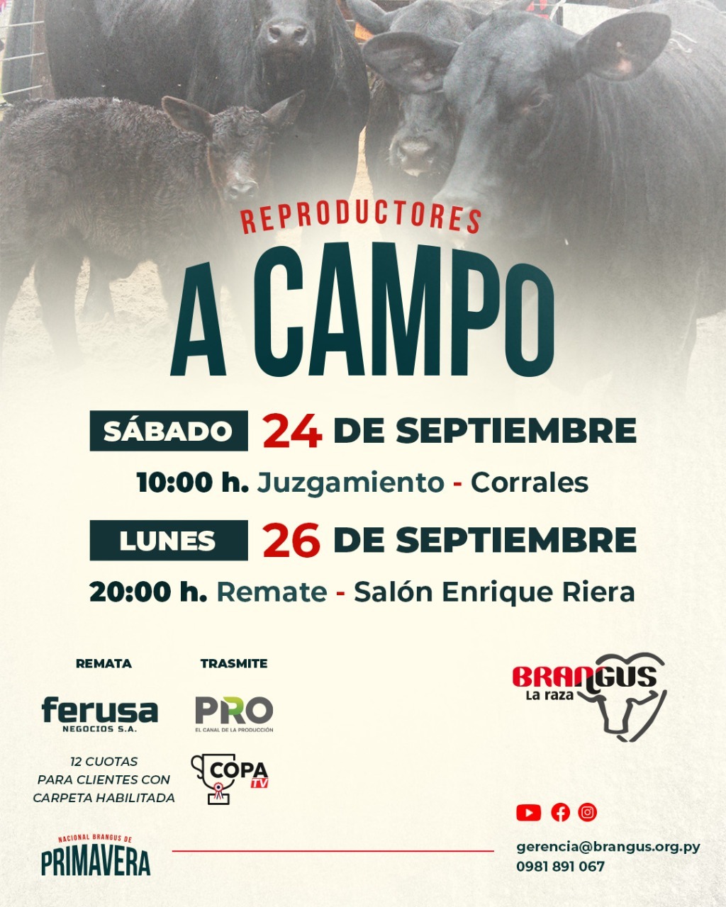 Afiche 12° EXPO PRIMAVERA BRANGUS - REMATE DE REPRODUCTORES A CAMPO SETIEMBRE 2022