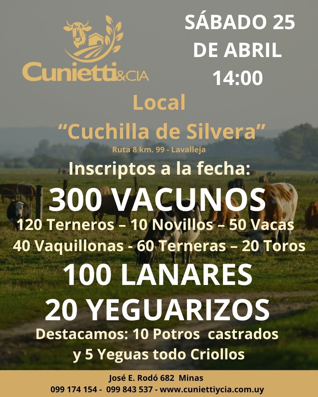 Afiche Feria Mensual - Cunietti y Cia