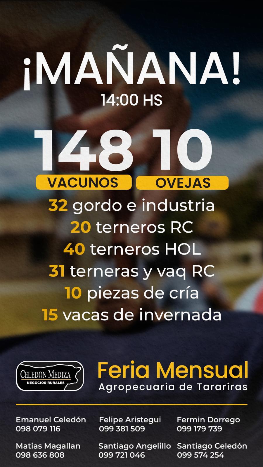 Remate Feria Celedon Mediza