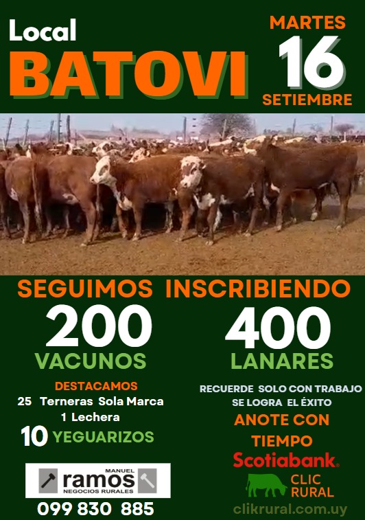 Remate Feria Mensual - Local Batovi