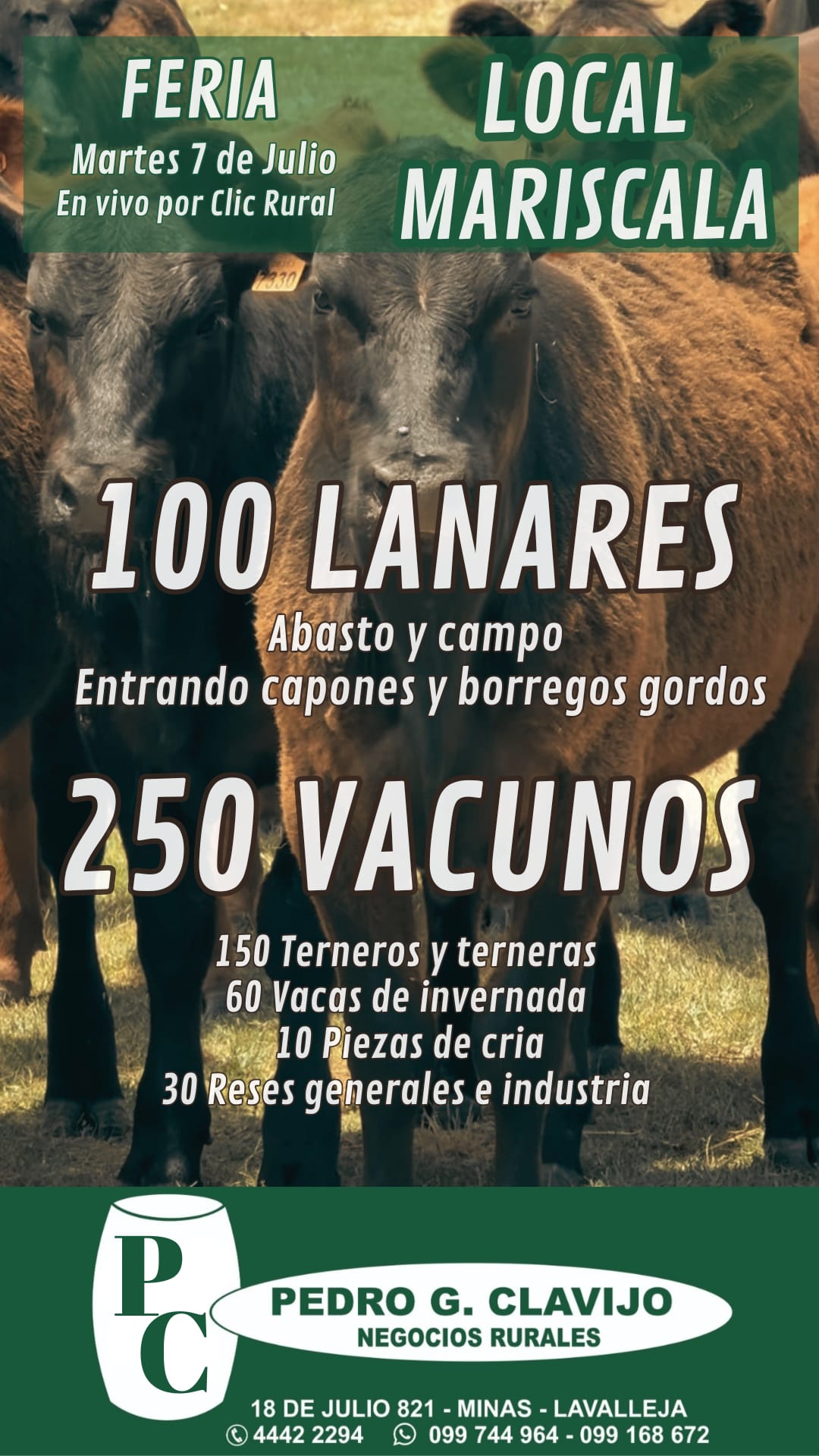 Feria