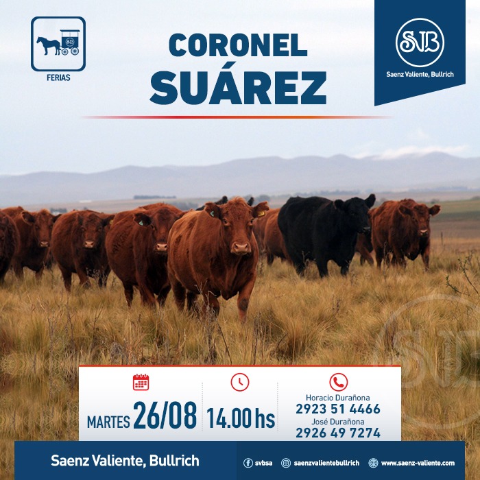 Feria en Cnel. Suarez