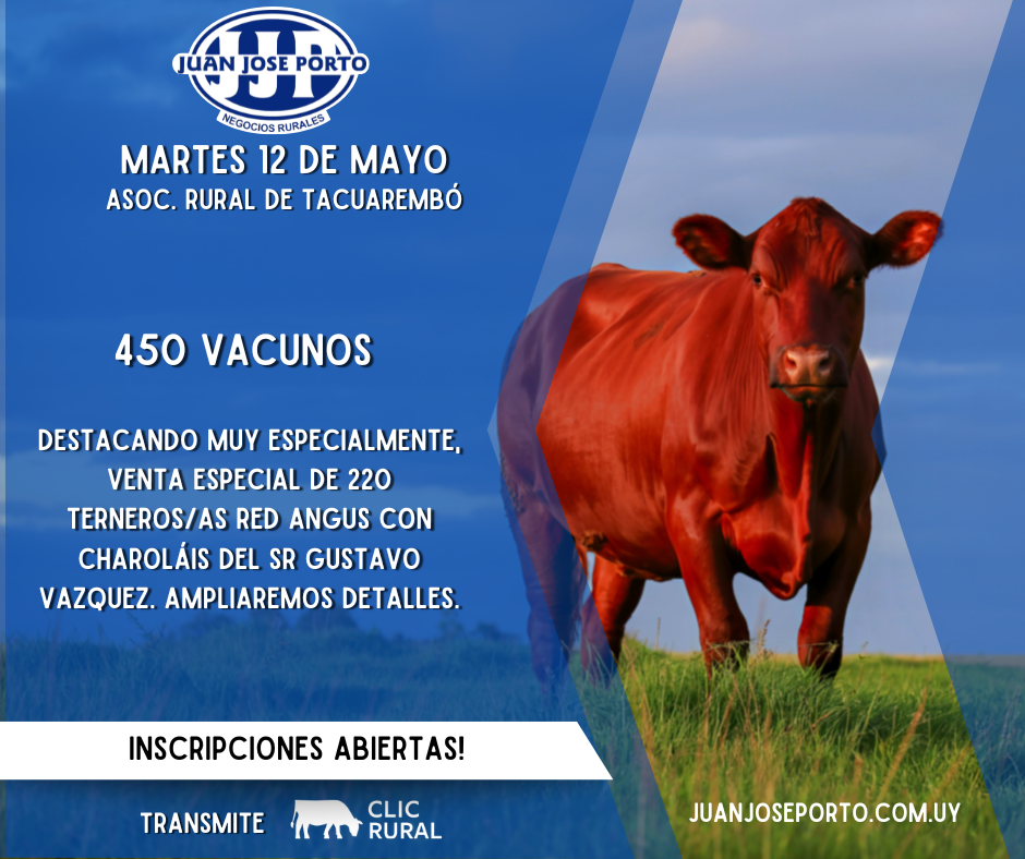 Feria Mensual - Juan Jose Porto