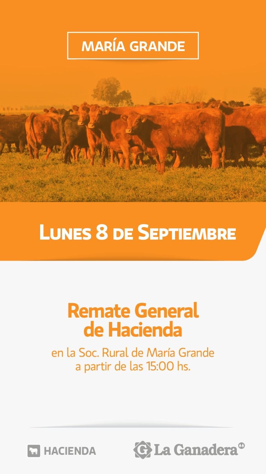 REMATE FERIA EN SOCIEDAD RURAL MARIA GRANDE