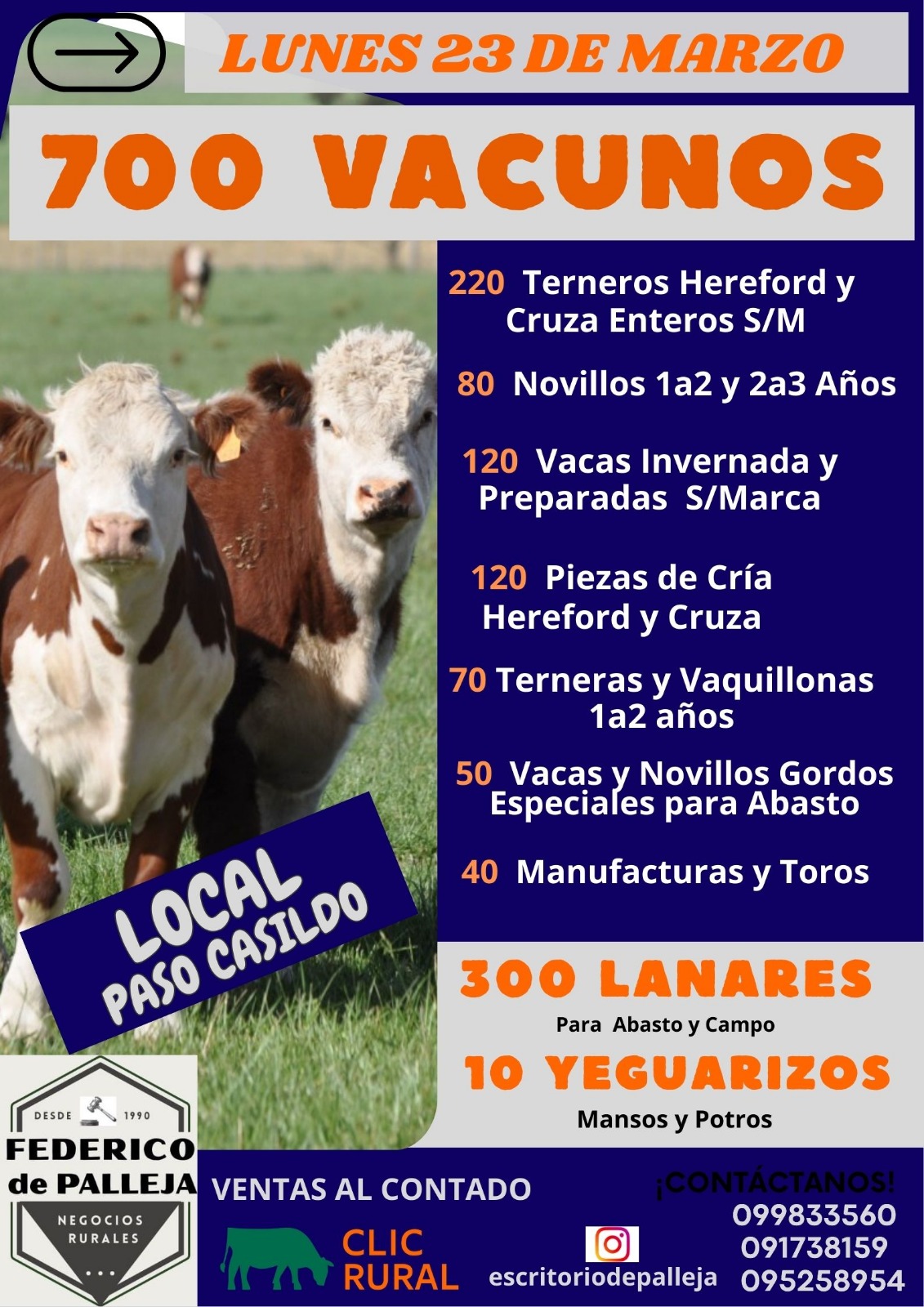 Afiche Feria Mensual - Federico de Palleja