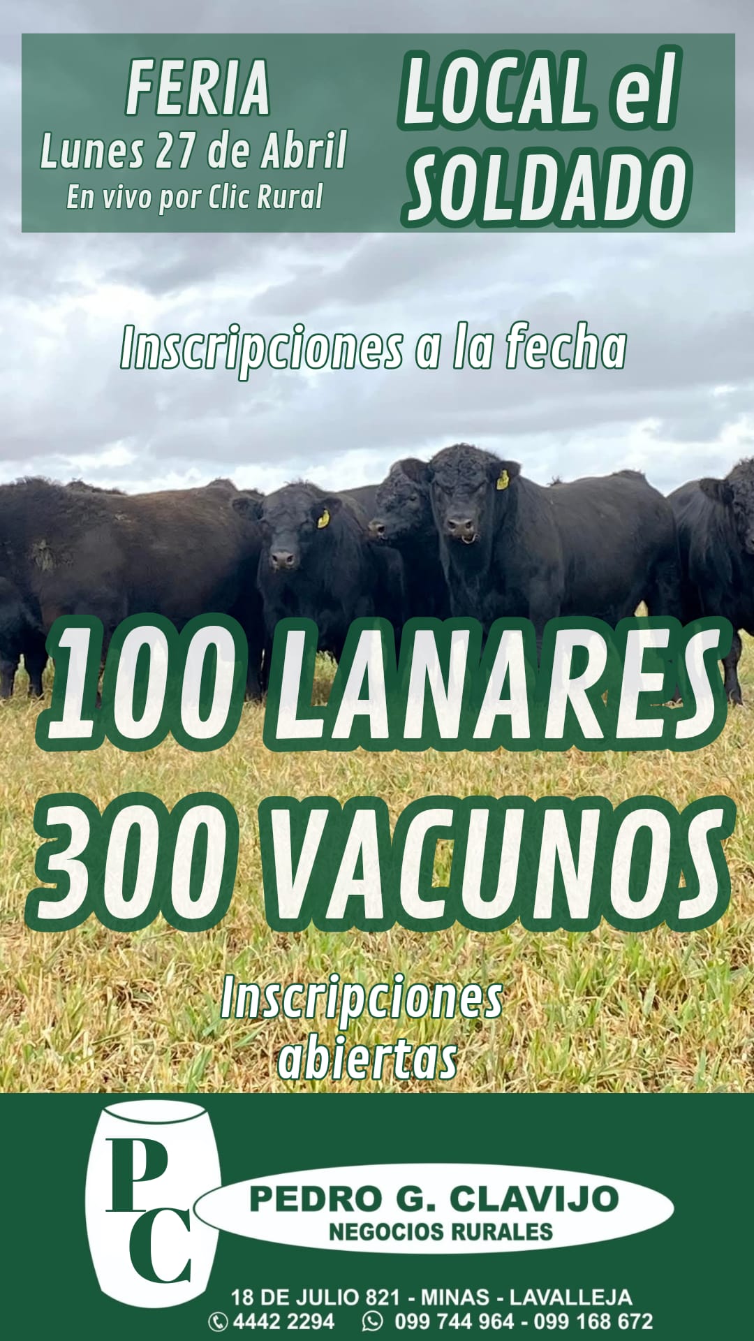 Feria Mensual - Pedro G Clavijo