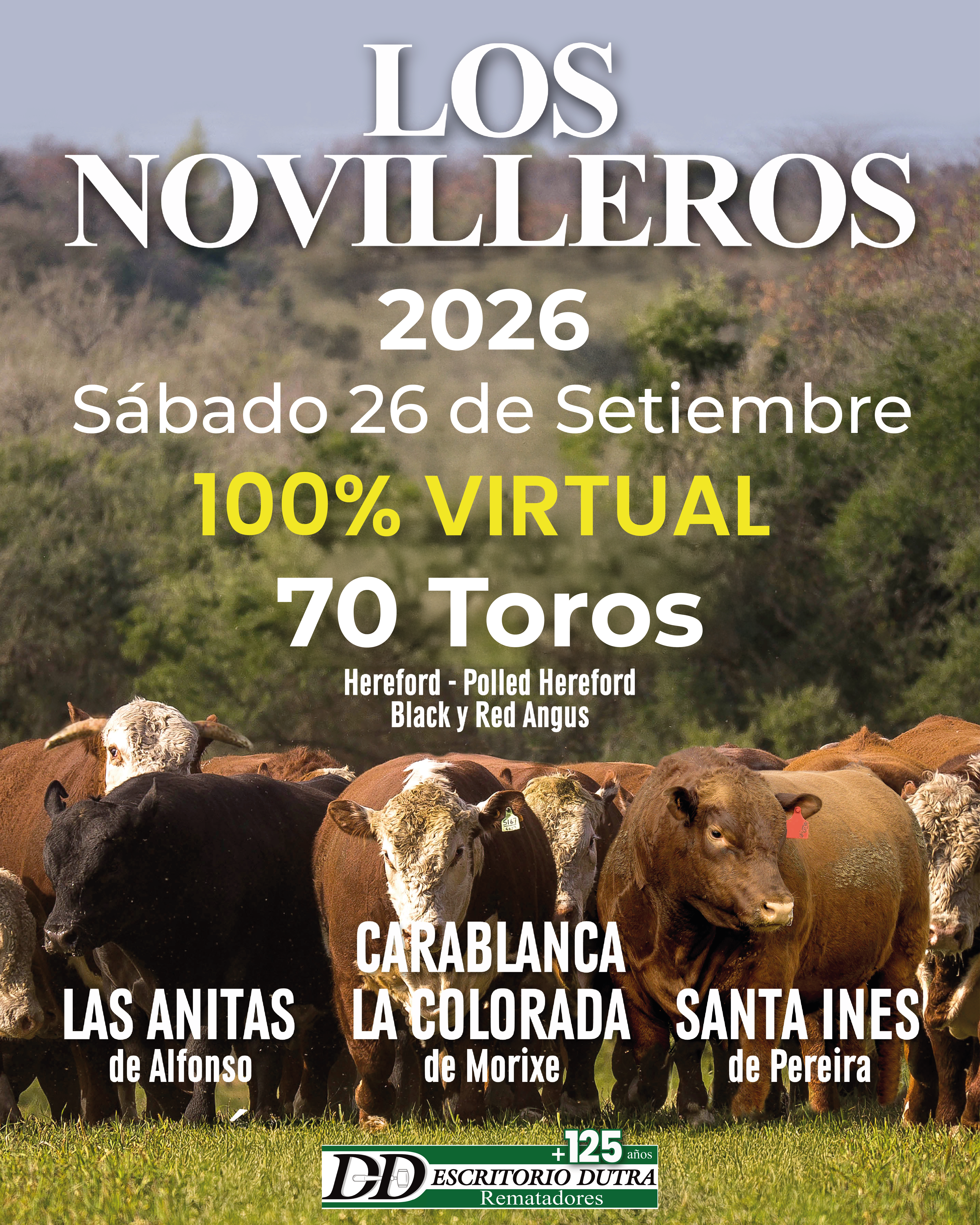 Los Novilleros