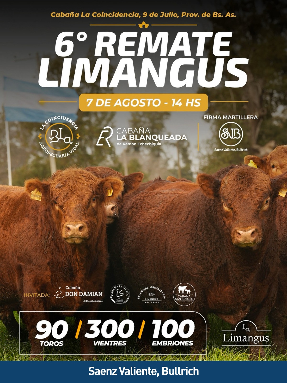 Afiche La Coincidencia