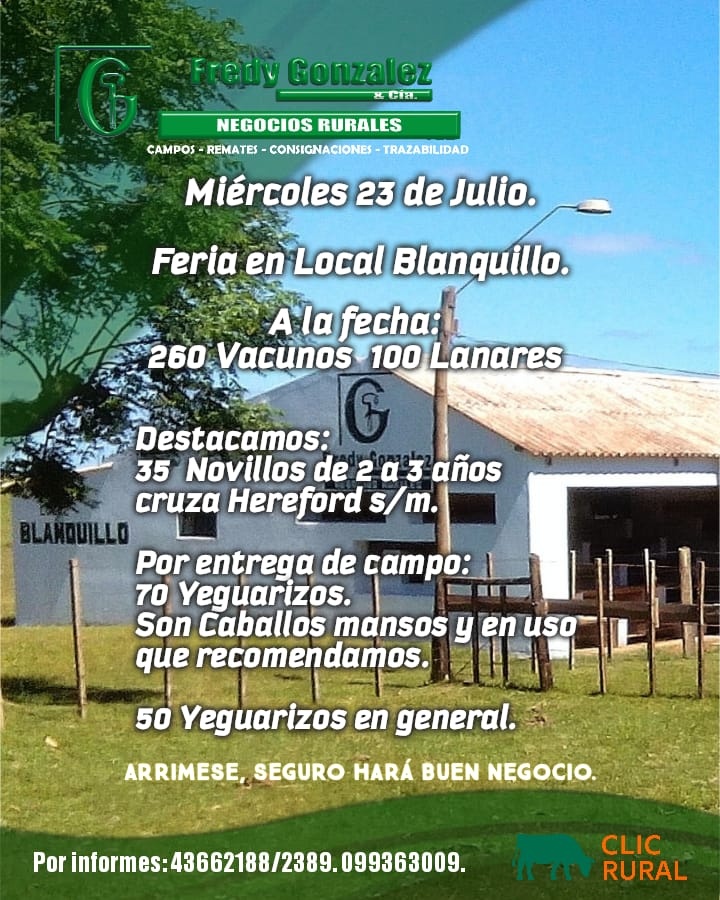 Afiche Feria mensual - Fredy Gonzalez y Cia