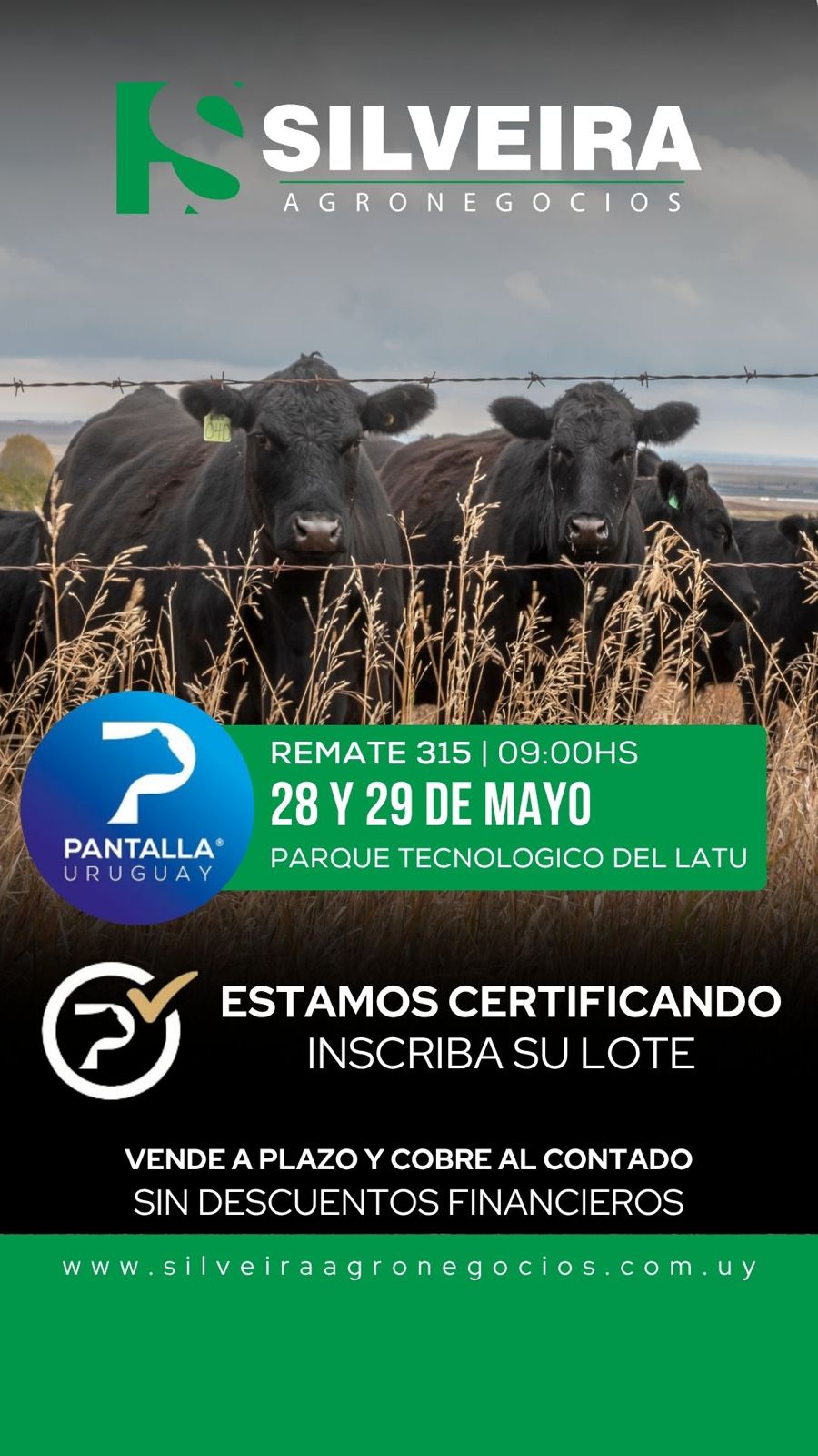 315º remate Pantalla Uruguay