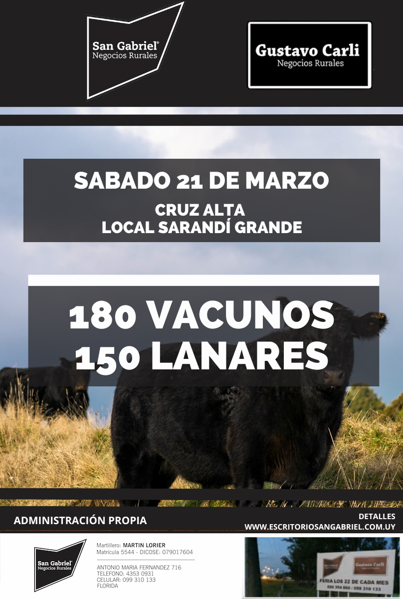 Feria en Cruz Alta Sarandi