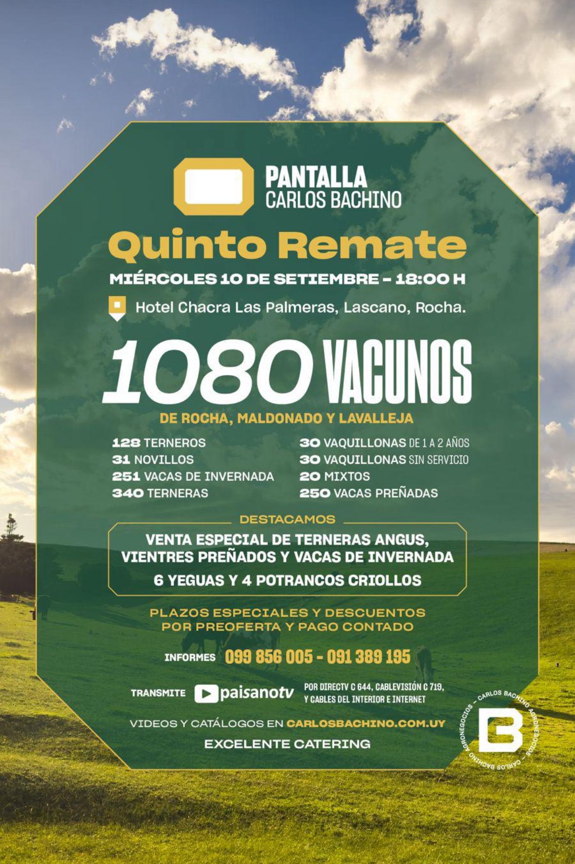 Afiche 5º Remate Pantalla Bachino