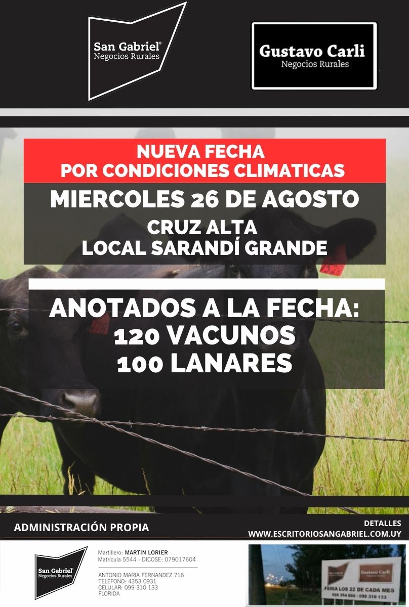 Feria mensual - Local Cruz Alta