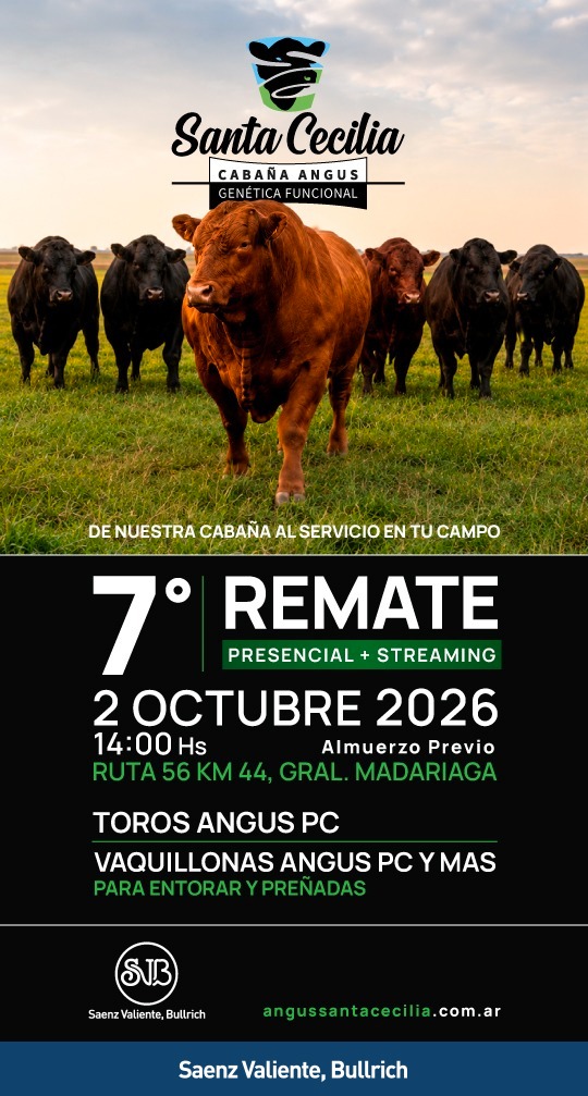 Remate Santa Cecilia