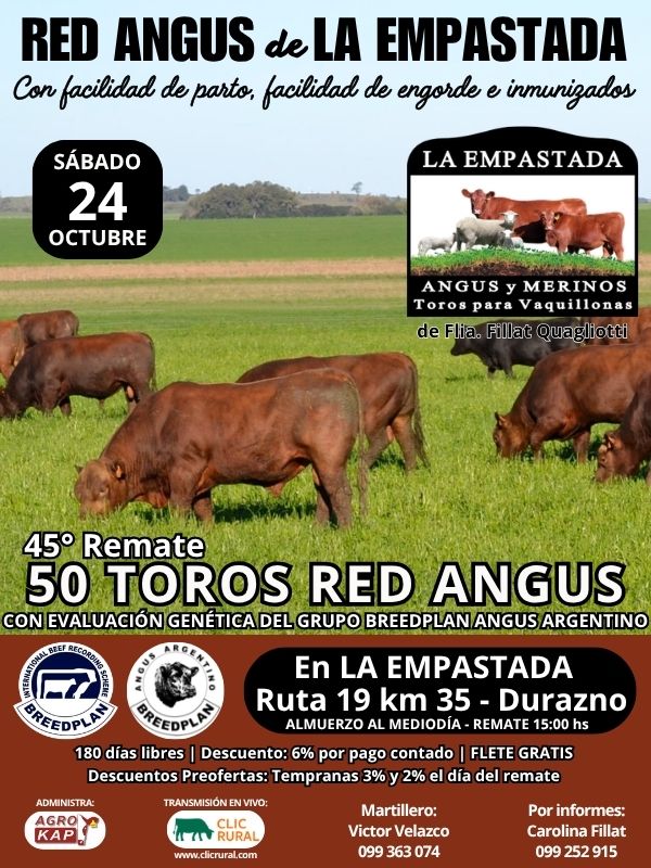 Afiche 45º La Empastada