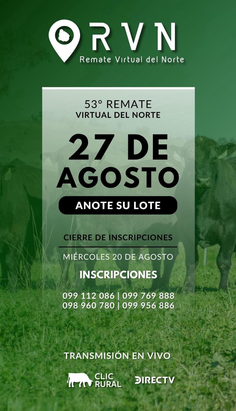 Remate 53º Remate Virtual del Norte